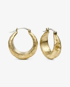 Equiron Earrings